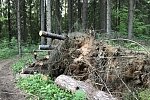 Лесная прогулка на квадроциклах по трассам Подмосковья | Фото 4